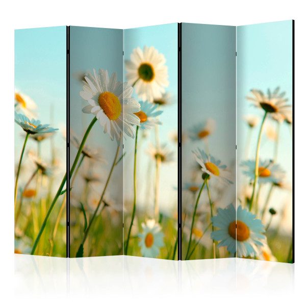 Paraván – Daisies – spring meadow II [Room Dividers] Paraván – Daisies – spring meadow II [Room Dividers]