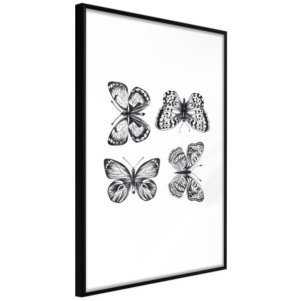 Butterfly Collection III Butterfly Collection III