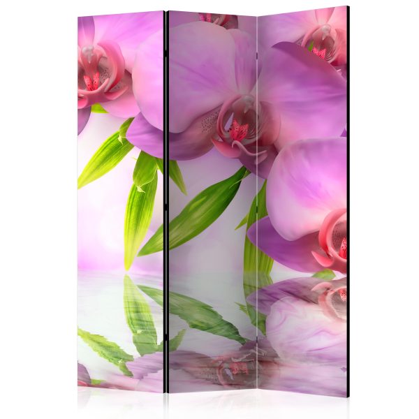 Paraván – Orchid Spa II [Room Dividers] Paraván – Orchid Spa II [Room Dividers]