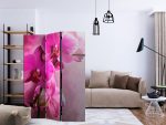 Paraván – Pink Orchid [Room Dividers] Paraván – Pink Orchid [Room Dividers]