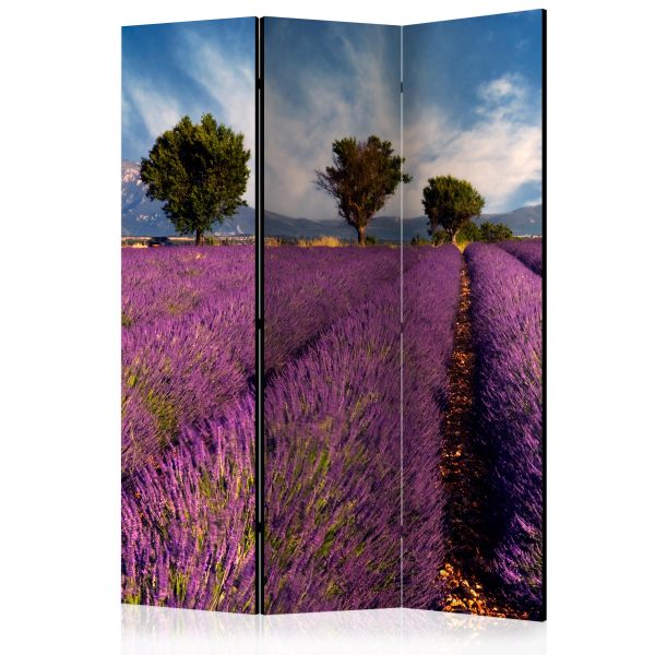 Paraván – Lavender field in Provence, France [Room Dividers] Paraván – Lavender field in Provence, France [Room Dividers]