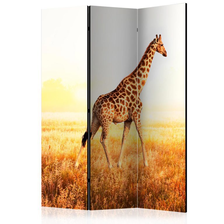 Paraván – giraffe – walk [Room Dividers] Paraván – giraffe – walk [Room Dividers]