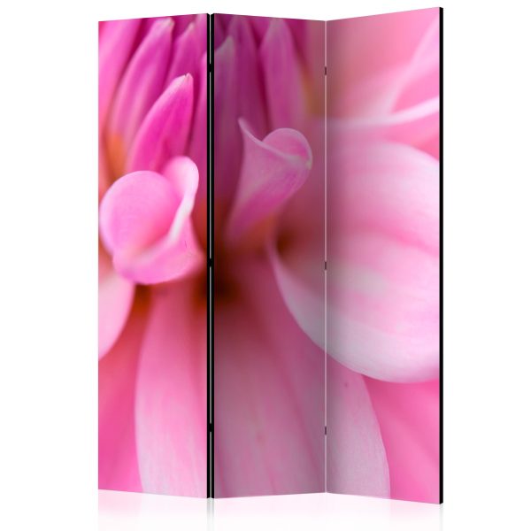 Paraván – Flower petals – dahlia [Room Dividers] Paraván – Flower petals – dahlia [Room Dividers]