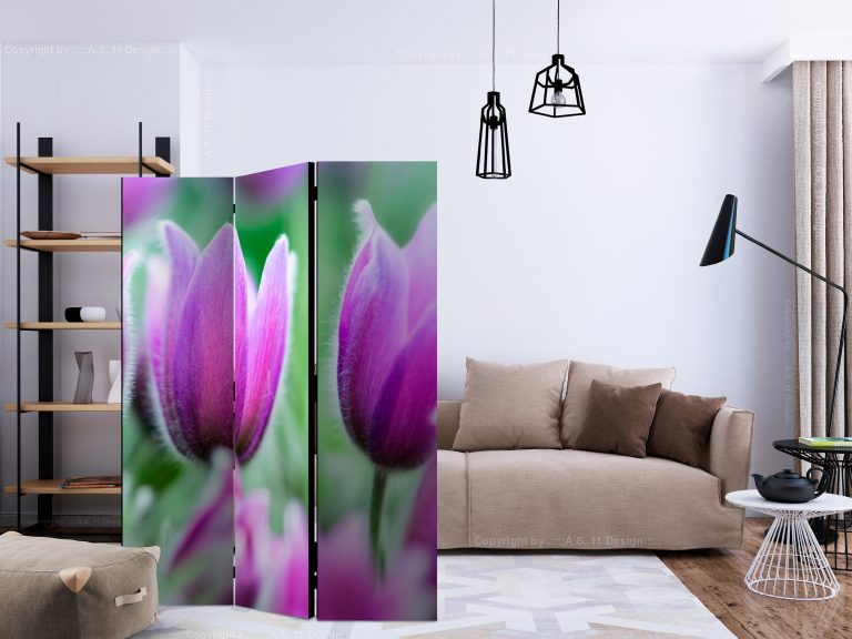 Paraván – Purple spring tulips [Room Dividers] Paraván – Purple spring tulips [Room Dividers]
