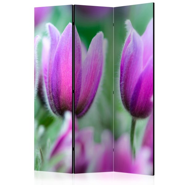Paraván – Purple spring tulips [Room Dividers] Paraván – Purple spring tulips [Room Dividers]