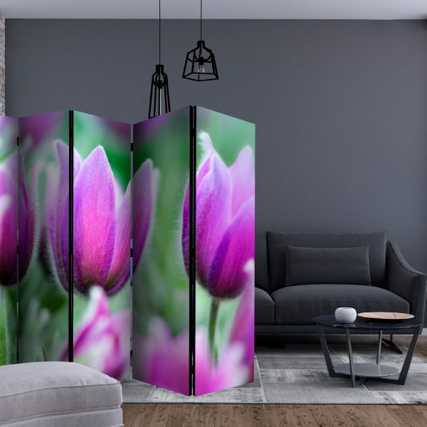 Paraván – Purple spring tulips II [Room Dividers] Paraván – Purple spring tulips II [Room Dividers]