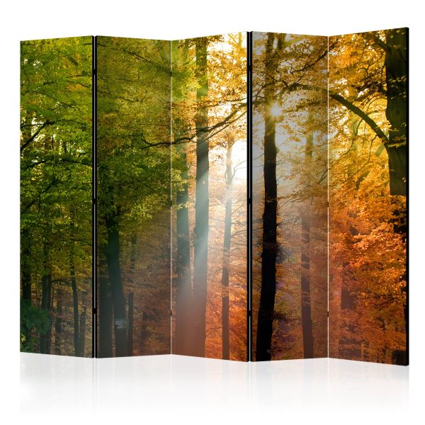 Paraván – Forest Colours II [Room Dividers] Paraván – Forest Colours II [Room Dividers]