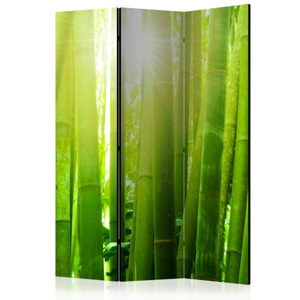 Paraván – Sun and bamboo [Room Dividers] Paraván – Sun and bamboo [Room Dividers]