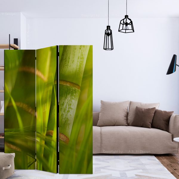 Paraván – bamboo – nature zen [Room Dividers] Paraván – bamboo – nature zen [Room Dividers]