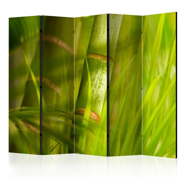Paraván – bamboo – nature zen II [Room Dividers] Paraván – bamboo – nature zen II [Room Dividers]