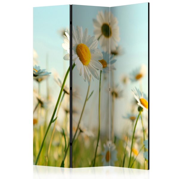 Paraván – Daisies – spring meadow [Room Dividers] Paraván – Daisies – spring meadow [Room Dividers]