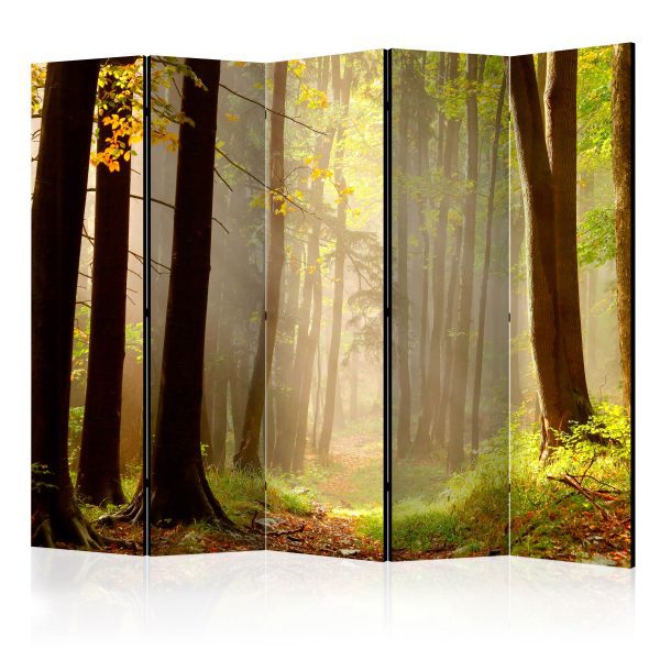 Paraván – Mysterious forest path II [Room Dividers] Paraván – Mysterious forest path II [Room Dividers]