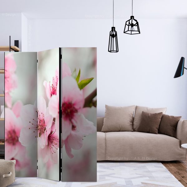Paraván – Spring, blooming tree – pink flowers [Room Dividers] Paraván – Spring, blooming tree – pink flowers [Room Dividers]