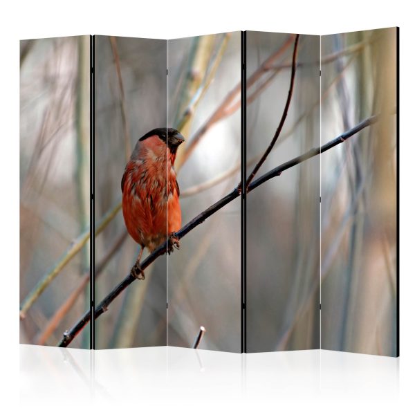 Paraván – Bullfinch in the forest [Room Dividers] Paraván – Bullfinch in the forest [Room Dividers]