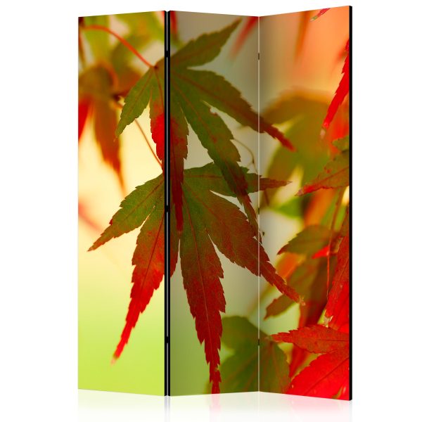 Paraván – Colourful leaves II [Room Dividers] Paraván – Colourful leaves II [Room Dividers]