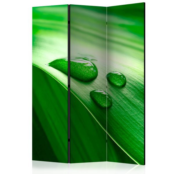 Paraván – Leaf and three drops of water II [Room Dividers] Paraván – Leaf and three drops of water II [Room Dividers]