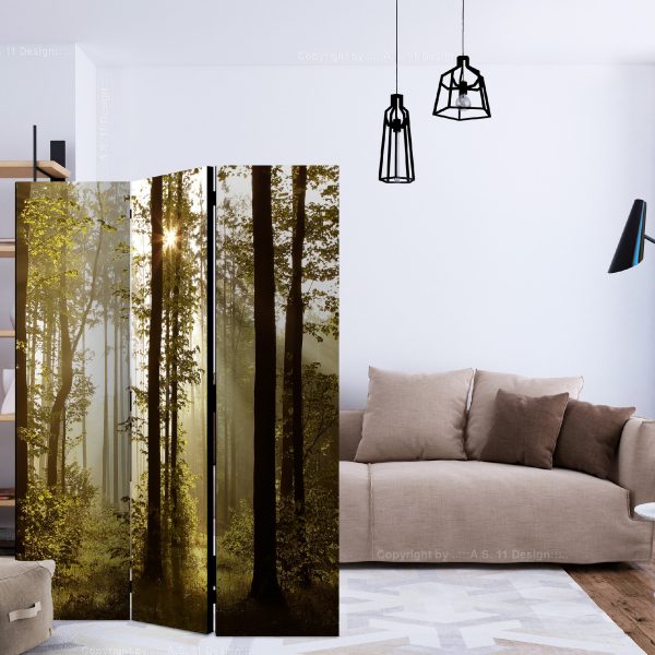 Paraván – Forest: Morning Sunlight  [Room Dividers] Paraván – Forest: Morning Sunlight  [Room Dividers]