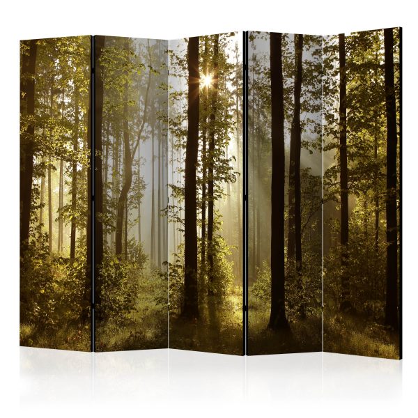 Paraván – Forest: Morning Sunlight  [Room Dividers] Paraván – Forest: Morning Sunlight  [Room Dividers]