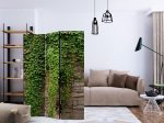 Paraván – Ivy wall [Room Dividers] Paraván – Ivy wall [Room Dividers]