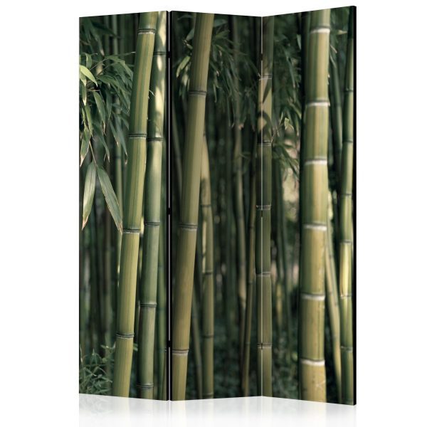 Paraván – bamboo – nature zen II [Room Dividers] Paraván – bamboo – nature zen II [Room Dividers]