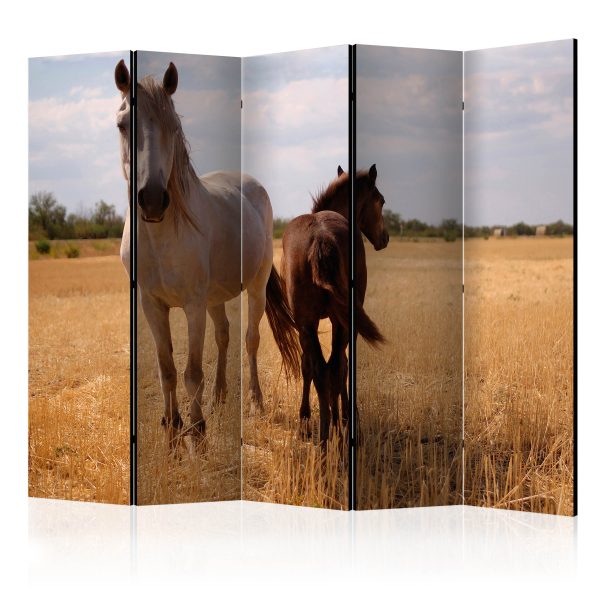 Paraván – Horse and foal II [Room Dividers] Paraván – Horse and foal II [Room Dividers]