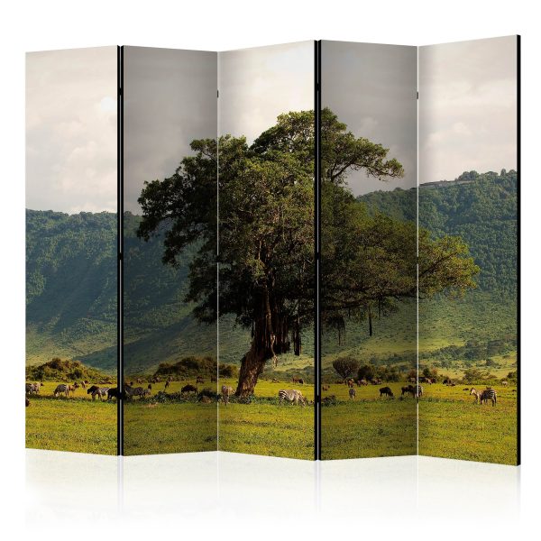 Paraván – In a crater of Ngoro ngoro II [Room Dividers] Paraván – In a crater of Ngoro ngoro II [Room Dividers]