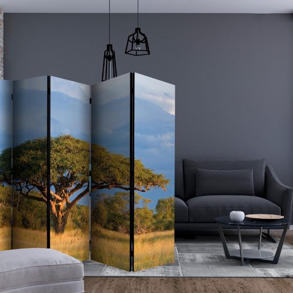 Paraván – African acacia tree, Hwange National Park, Zimbabwe II [Room Dividers] Paraván – African acacia tree, Hwange National Park, Zimbabwe II [Room Dividers]
