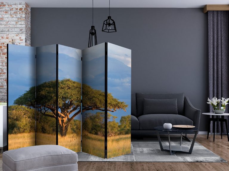 Paraván – African acacia tree, Hwange National Park, Zimbabwe II [Room Dividers] Paraván – African acacia tree, Hwange National Park, Zimbabwe II [Room Dividers]
