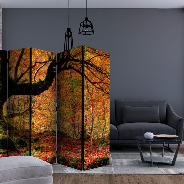 Paraván – Autumn, forest and leaves II [Room Dividers] Paraván – Autumn, forest and leaves II [Room Dividers]
