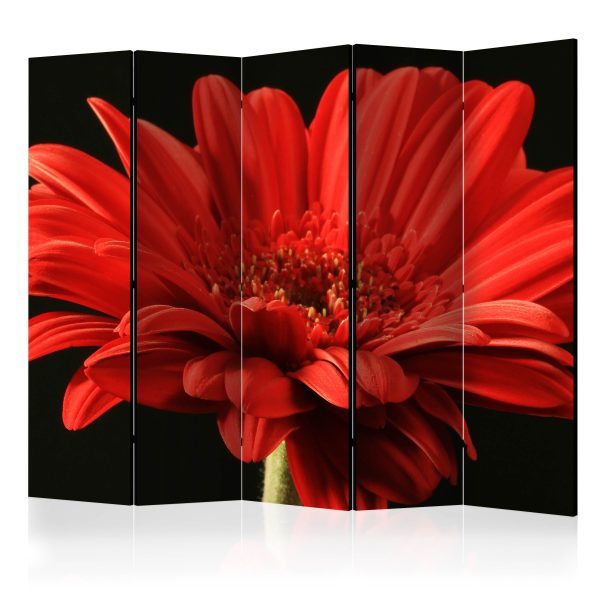 Paraván – Red gerbera flower II [Room Dividers] Paraván – Red gerbera flower II [Room Dividers]