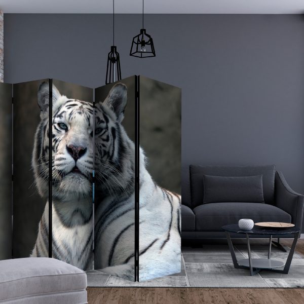 Paraván – Bengali tiger in zoo II [Room Dividers] Paraván – Bengali tiger in zoo II [Room Dividers]