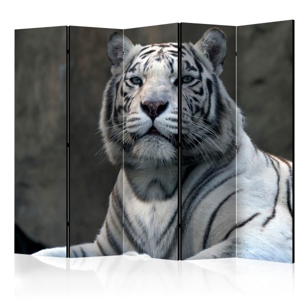 Paraván – Bengali tiger in zoo II [Room Dividers] Paraván – Bengali tiger in zoo II [Room Dividers]