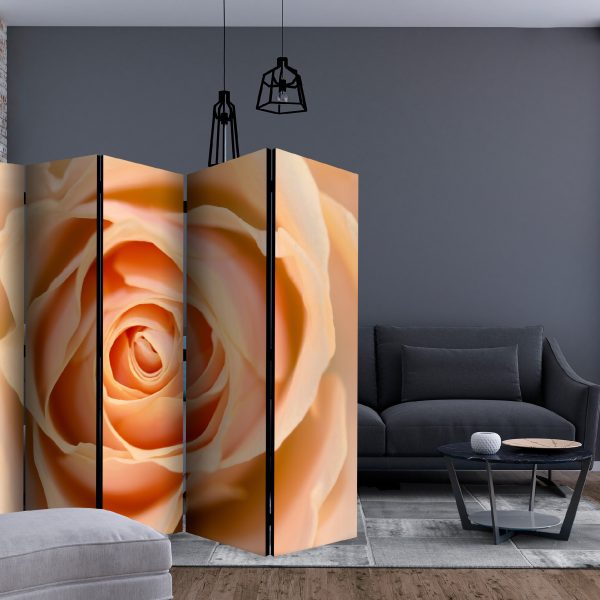 Paraván – Peach-colored rose II [Room Dividers] Paraván – Peach-colored rose II [Room Dividers]