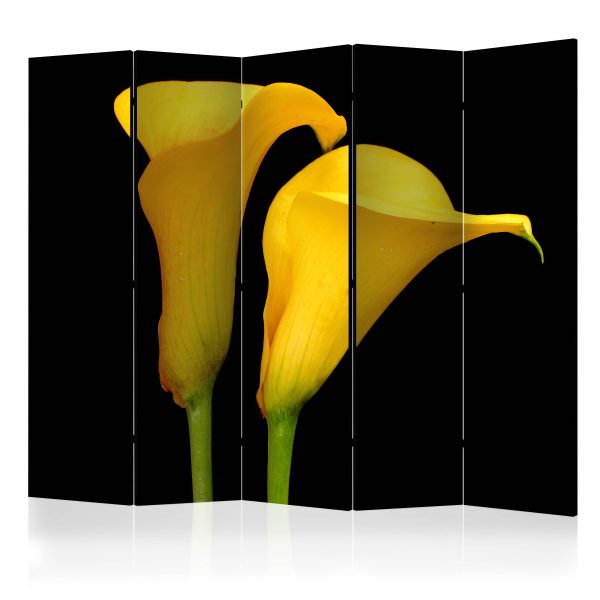 Paraván – Two yellow calla flowers on a black background II [Room Dividers] Paraván – Two yellow calla flowers on a black background II [Room Dividers]