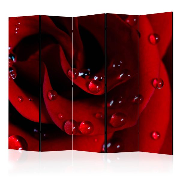 Paraván – Red rose with water drops II [Room Dividers] Paraván – Red rose with water drops II [Room Dividers]