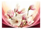 Fototapeta – Proměny magnolie II. SKLAD Fototapeta – Proměny magnolie II. SKLAD