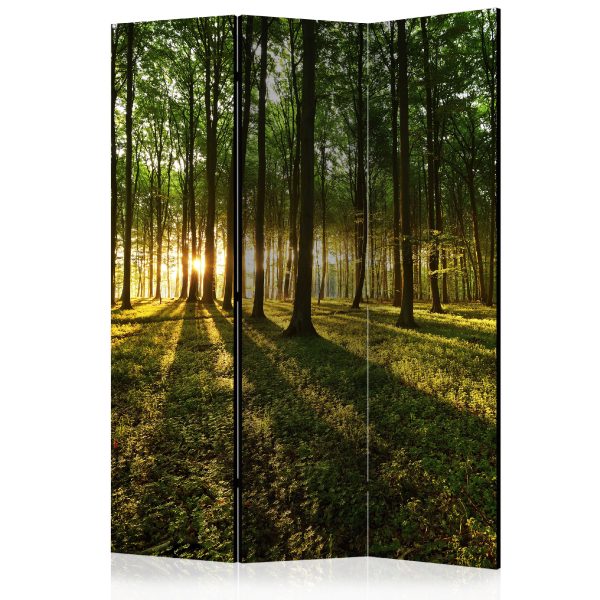 Paraván – Morning in the Forest II [Room Dividers] Paraván – Morning in the Forest II [Room Dividers]