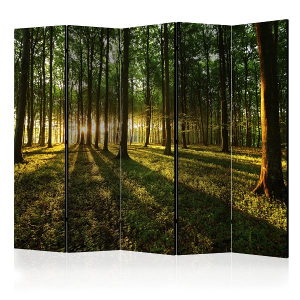 Paraván – Morning in the Forest II [Room Dividers] Paraván – Morning in the Forest II [Room Dividers]