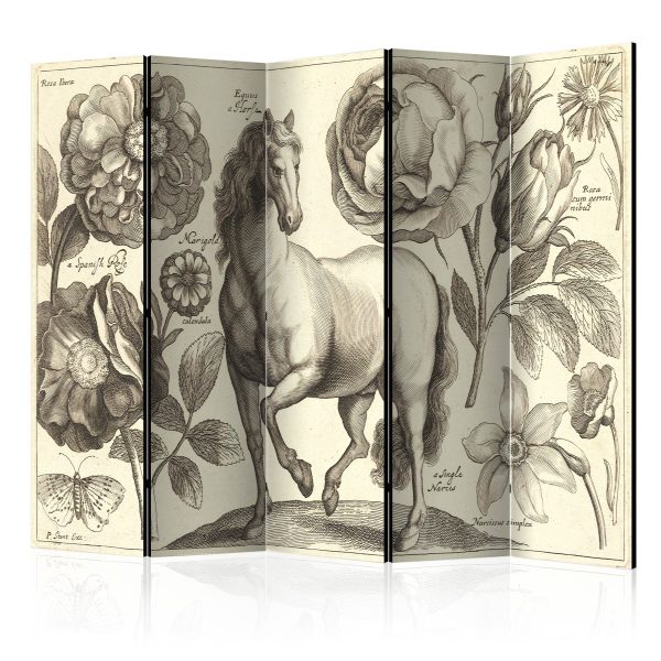 Paraván – Horse and foal II [Room Dividers] Paraván – Horse and foal II [Room Dividers]