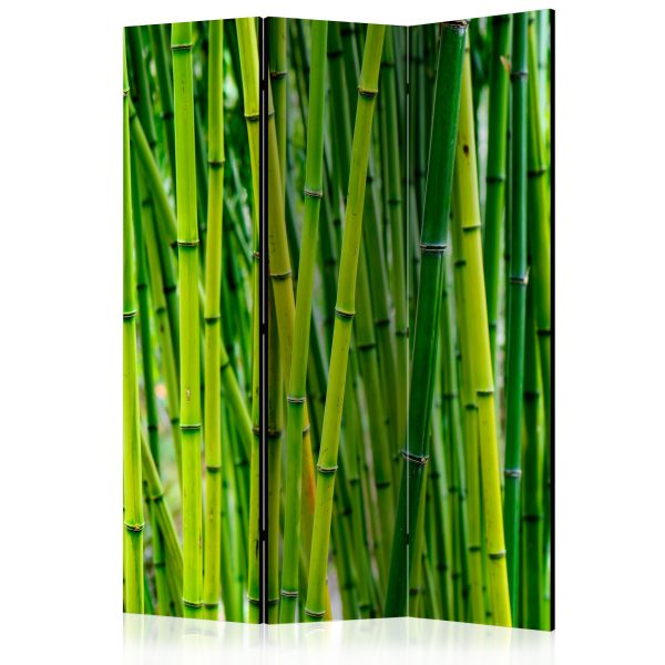 Paraván – Bamboo Forest II [Room Dividers] Paraván – Bamboo Forest II [Room Dividers]