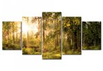 Obraz Slunečný les Obraz Slunečný les