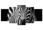 Obraz vícedílný Zebra SKLAD Obraz vícedílný Zebra SKLAD