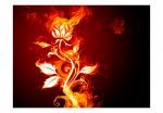 Tapeta Květ v plamenech Tapeta Květ v plamenech