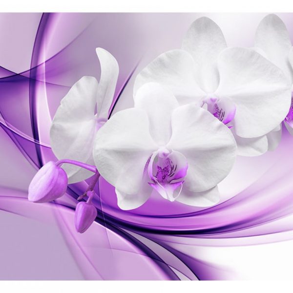 Orchidej na fialovém obláčku Orchidej na fialovém obláčku