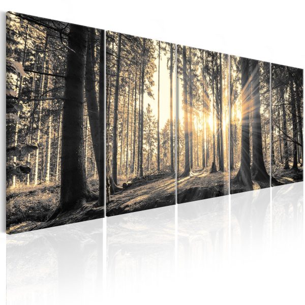 Pětidílný obraz – magický les Pětidílný obraz – magický les