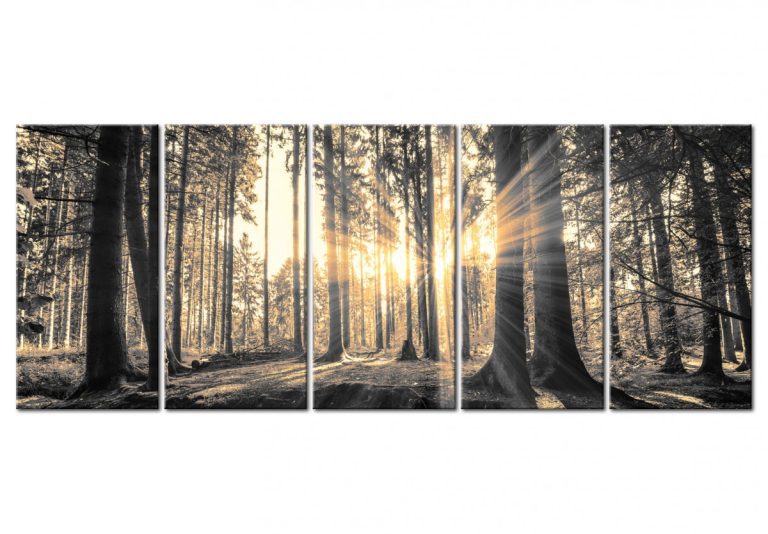 Pětidílný obraz – les v paprscích Pětidílný obraz – les v paprscích