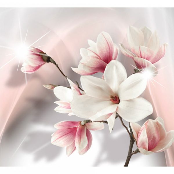 Magnolie v růžové Magnolie v růžové