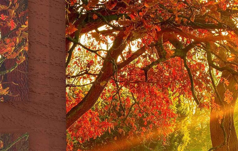 Obraz slunečný podzim Obraz slunečný podzim
