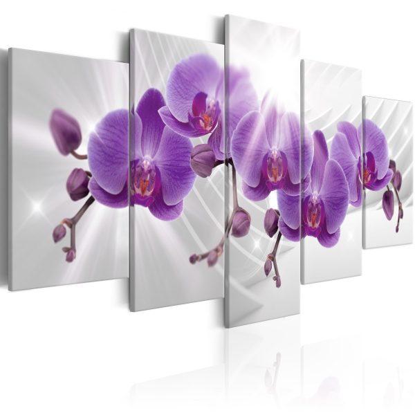 Obraz – fialová orchidej Obraz – fialová orchidej