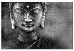 Tajemný Buddha šedý Tajemný Buddha šedý